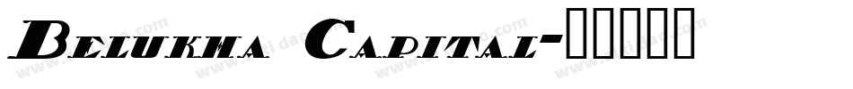Belukha Capital字体转换